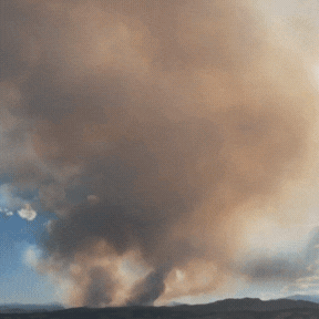 Wildfire Prevention Workshop