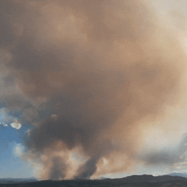 Wildfire Preparedness Information button
