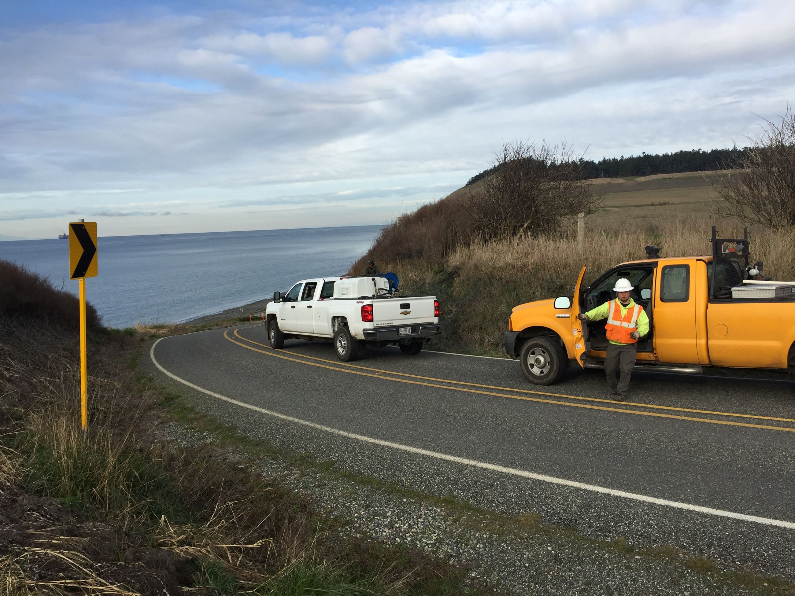 Ebey's Poison hemlock treatment